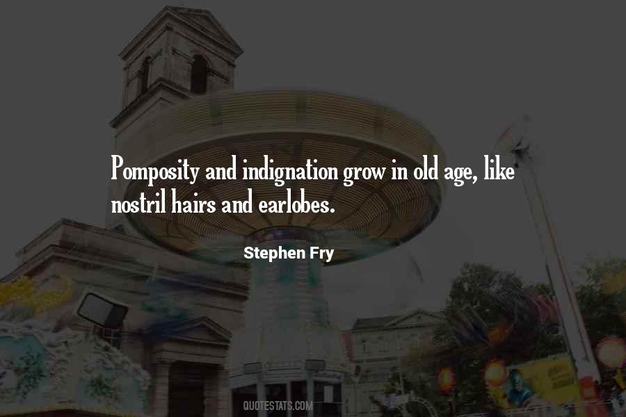 Stephen Fry Quotes #352997