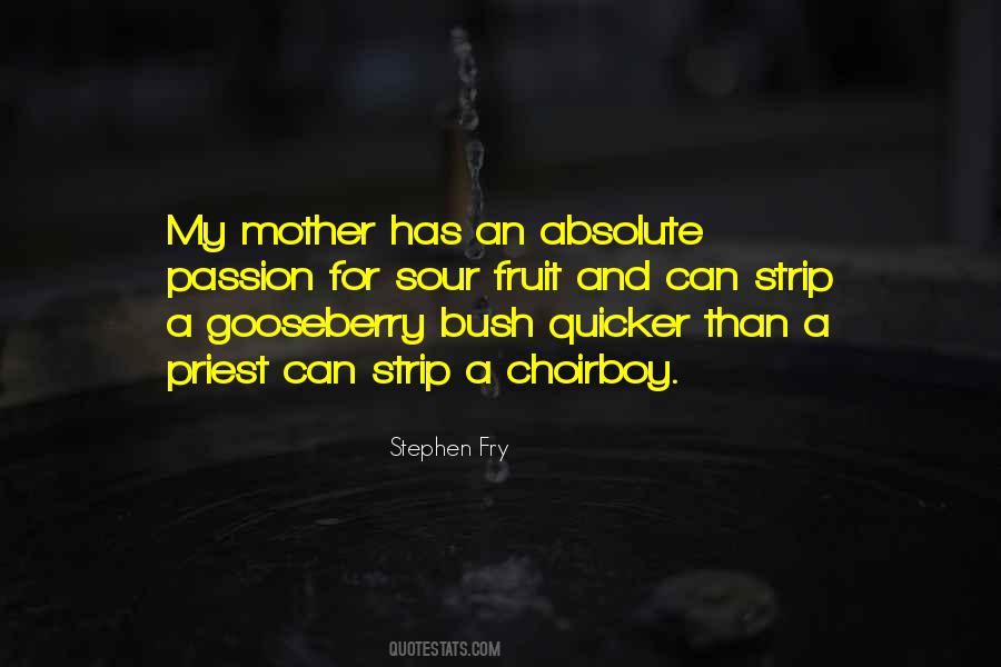 Stephen Fry Quotes #939444