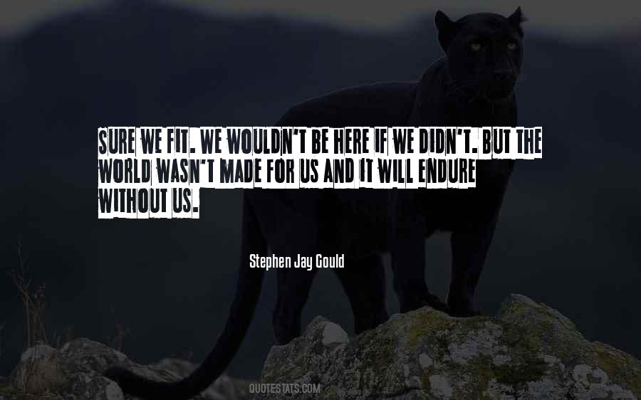 Stephen Jay Gould Quotes #1113439