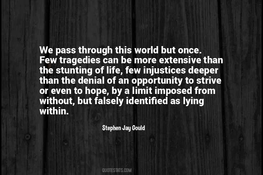 Stephen Jay Gould Quotes #1261639