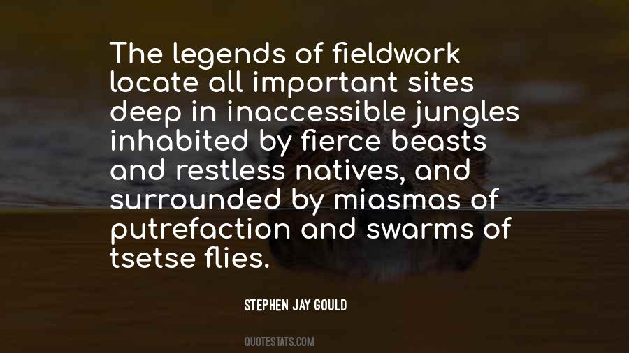 Stephen Jay Gould Quotes #442643