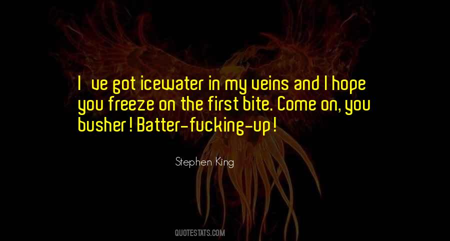 Stephen King Quotes #945165