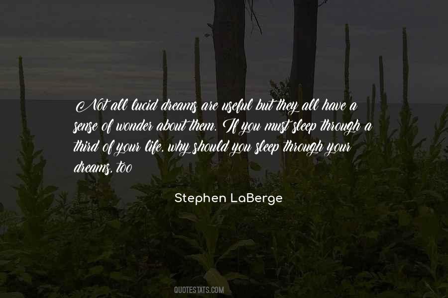 Stephen LaBerge Quotes #485757