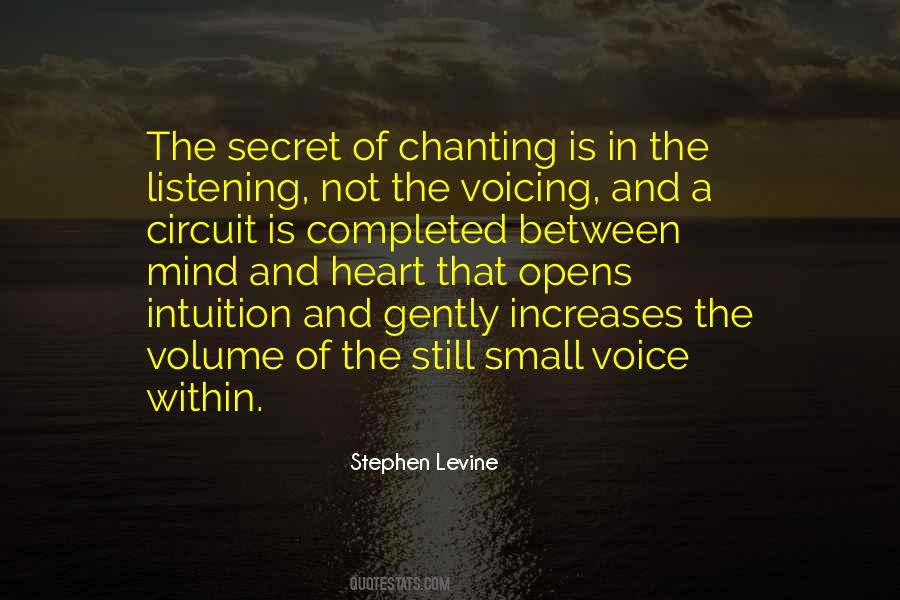 Stephen Levine Quotes #1081778