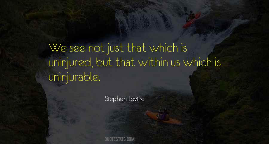 Stephen Levine Quotes #1505436