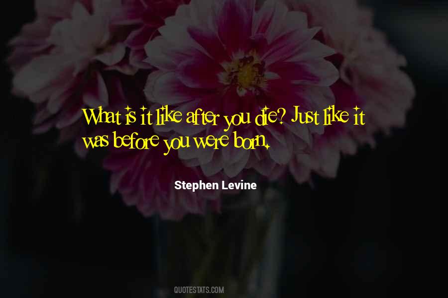 Stephen Levine Quotes #1512934