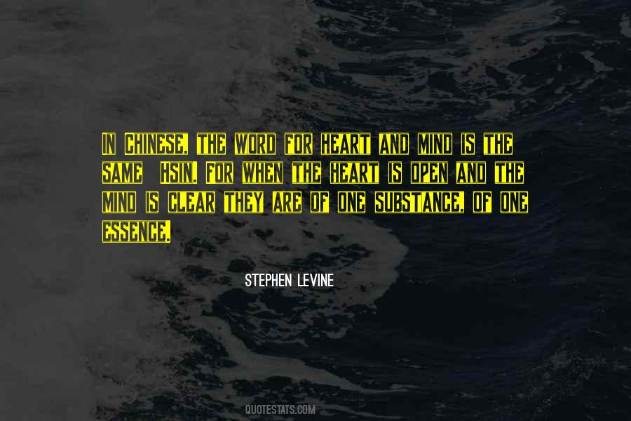 Stephen Levine Quotes #1705416