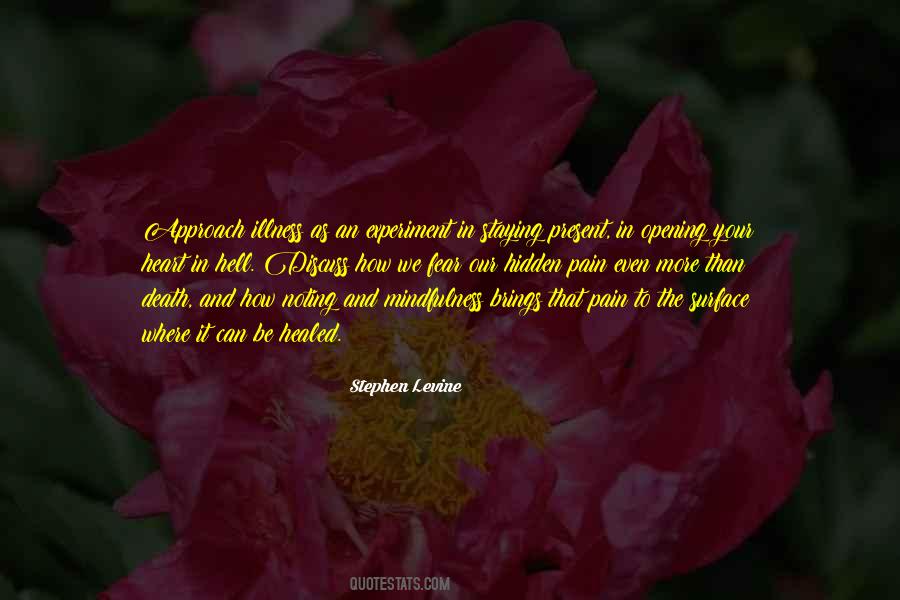 Stephen Levine Quotes #202700