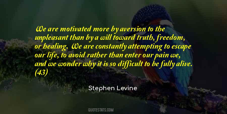 Stephen Levine Quotes #290326