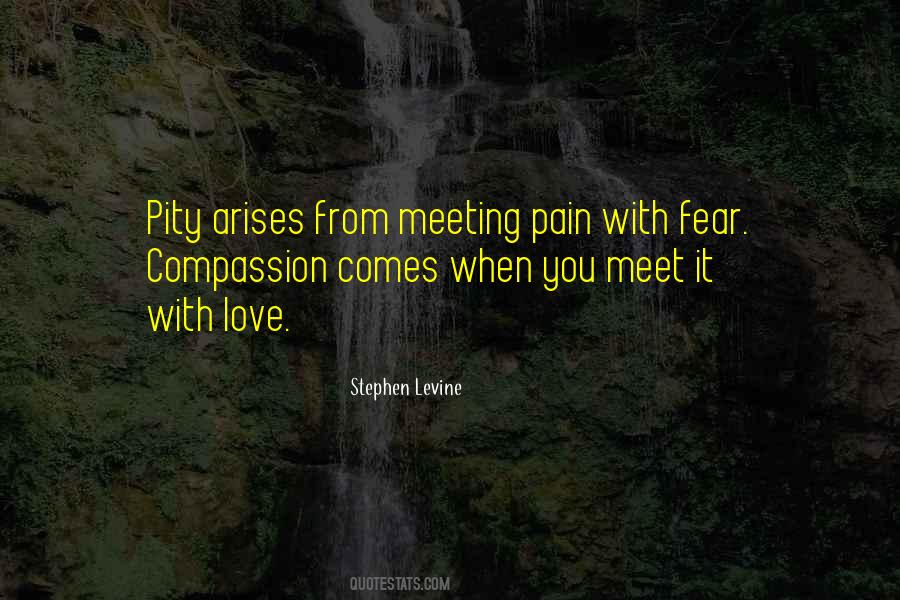 Stephen Levine Quotes #321610