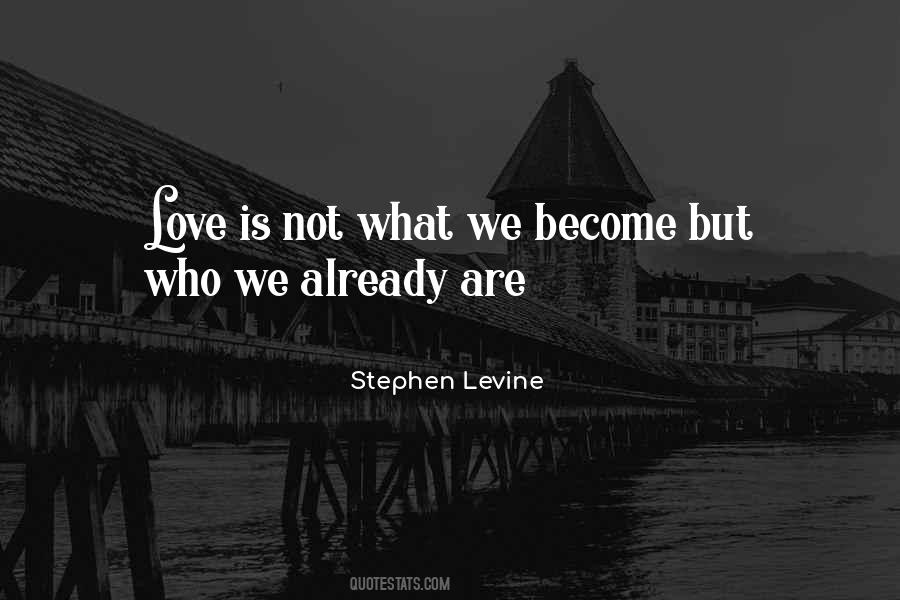 Stephen Levine Quotes #40065