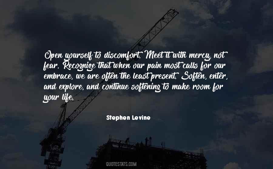 Stephen Levine Quotes #698117