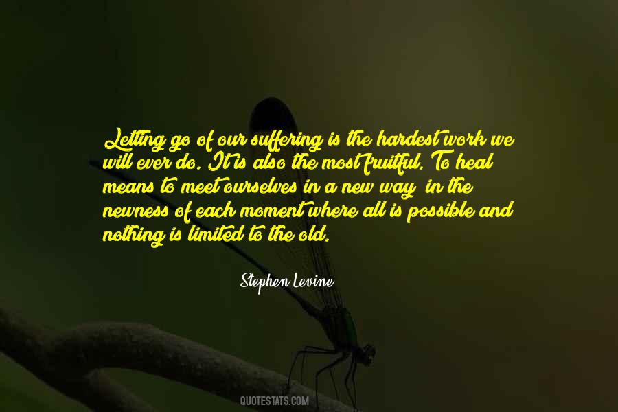 Stephen Levine Quotes #942674