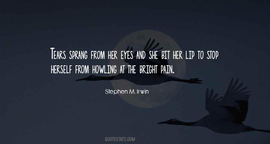 Stephen M. Irwin Quotes #38723