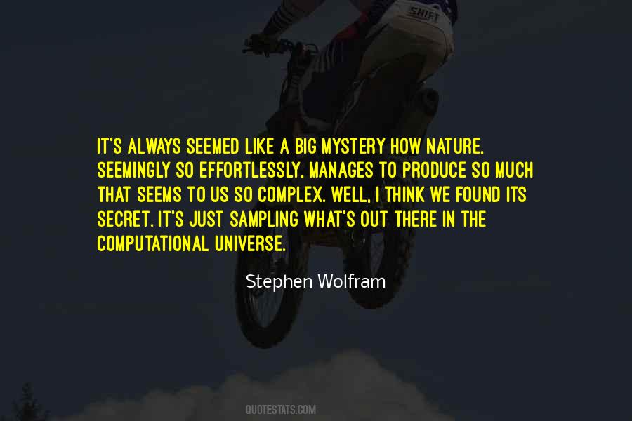 Stephen Wolfram Quotes #816346