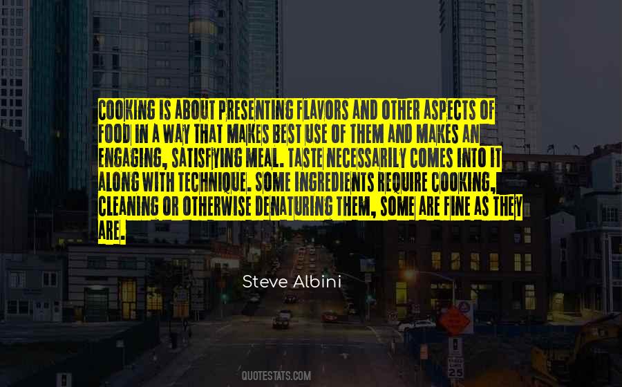 Steve Albini Quotes #733116