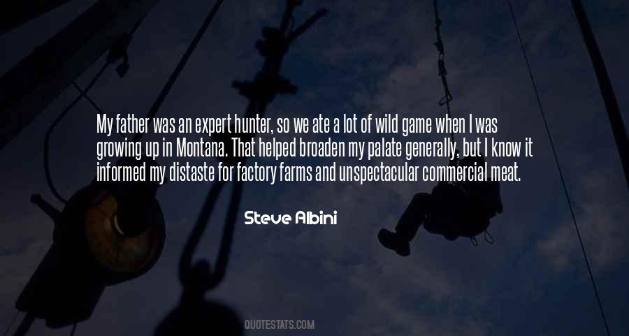 Steve Albini Quotes #849265