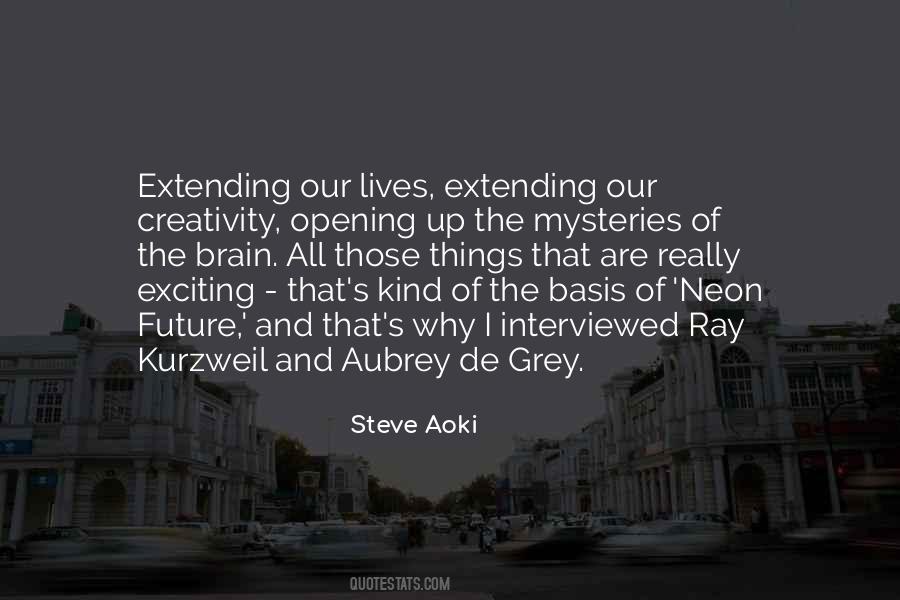 Steve Aoki Quotes #1072950