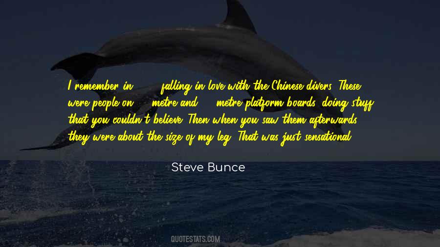 Steve Bunce Quotes #1206444