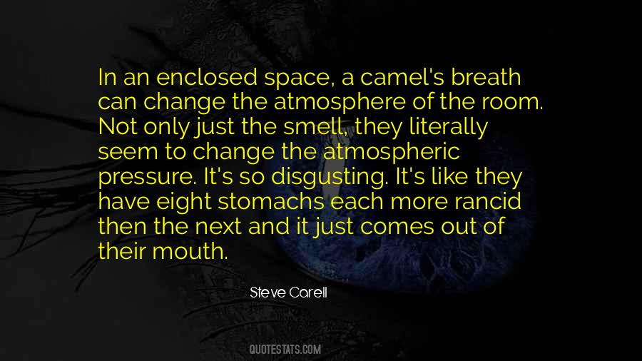 Steve Carell Quotes #1022681