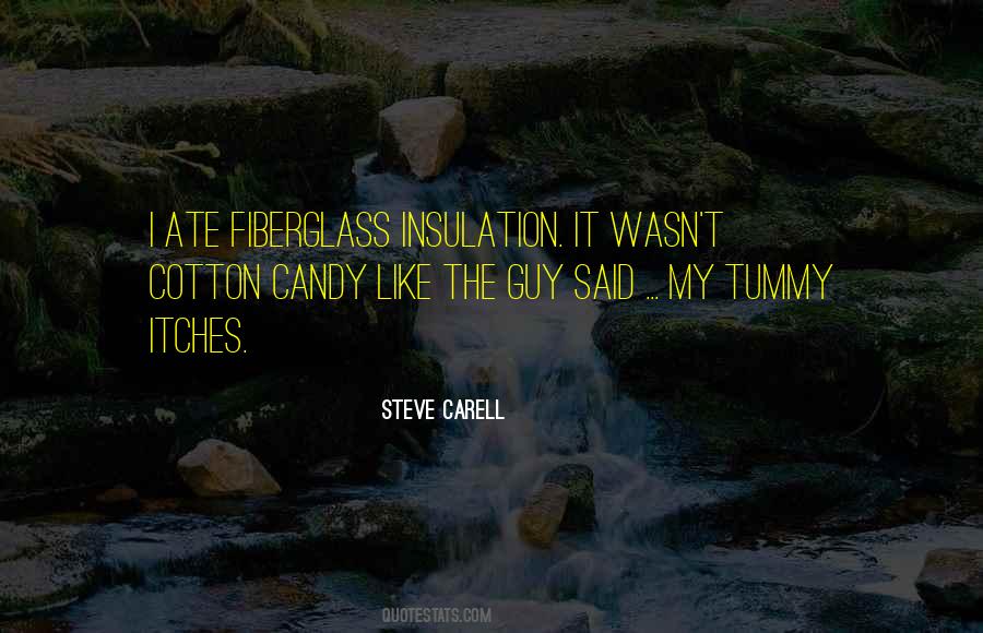Steve Carell Quotes #763943