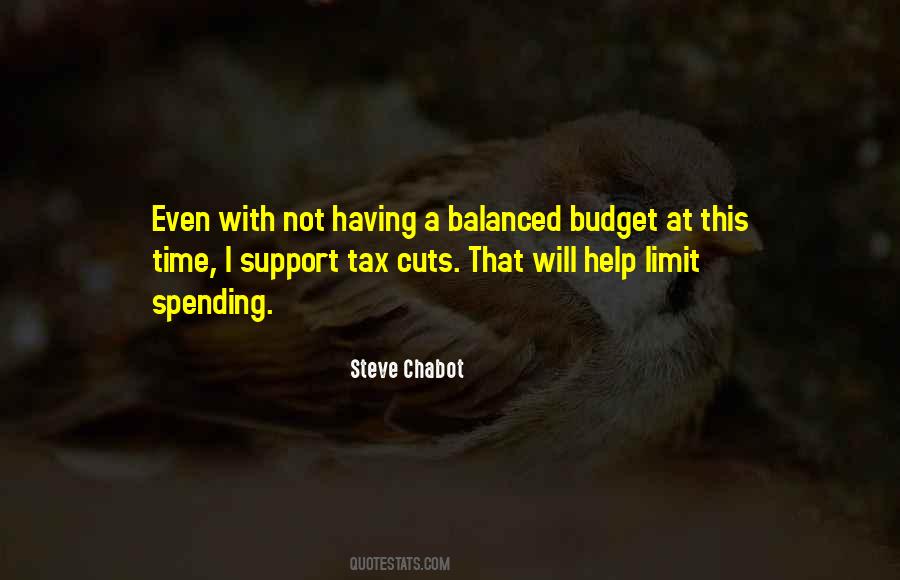 Steve Chabot Quotes #868761