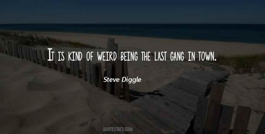 Steve Diggle Quotes #972742