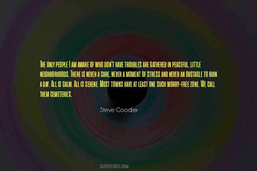 Steve Goodier Quotes #242374