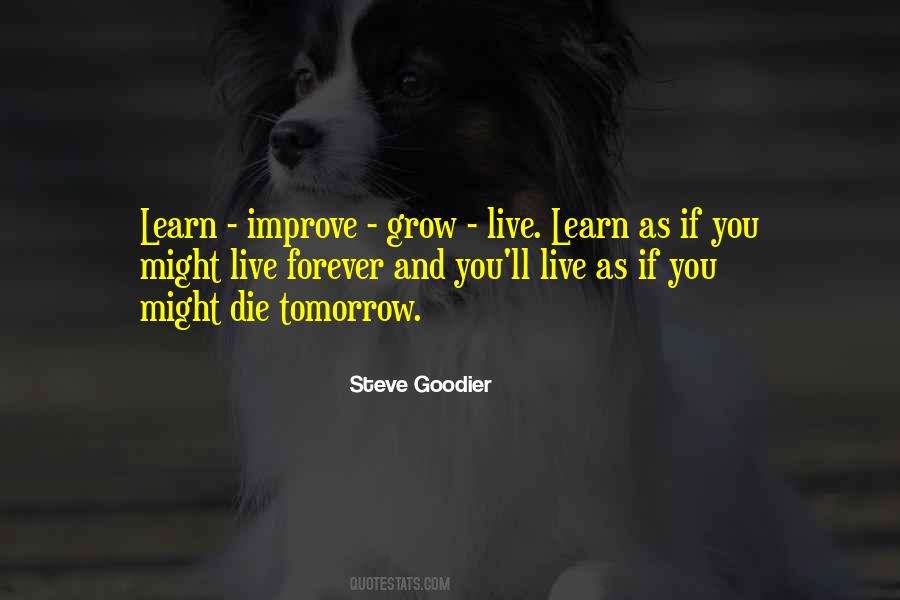 Steve Goodier Quotes #469594