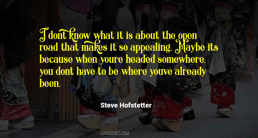 Steve Hofstetter Quotes #1818413