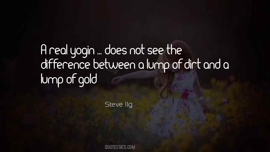 Steve Ilg Quotes #524334