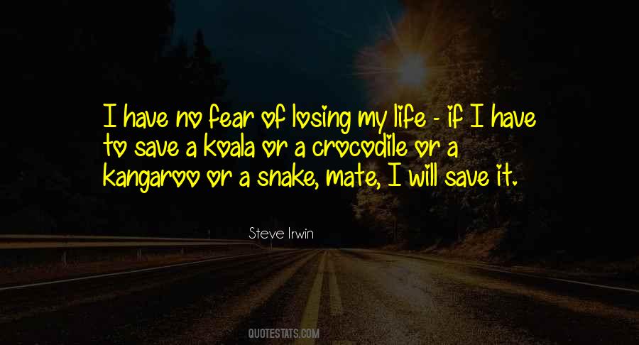 Steve Irwin Quotes #101211