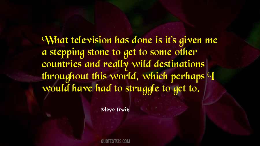 Steve Irwin Quotes #1178357