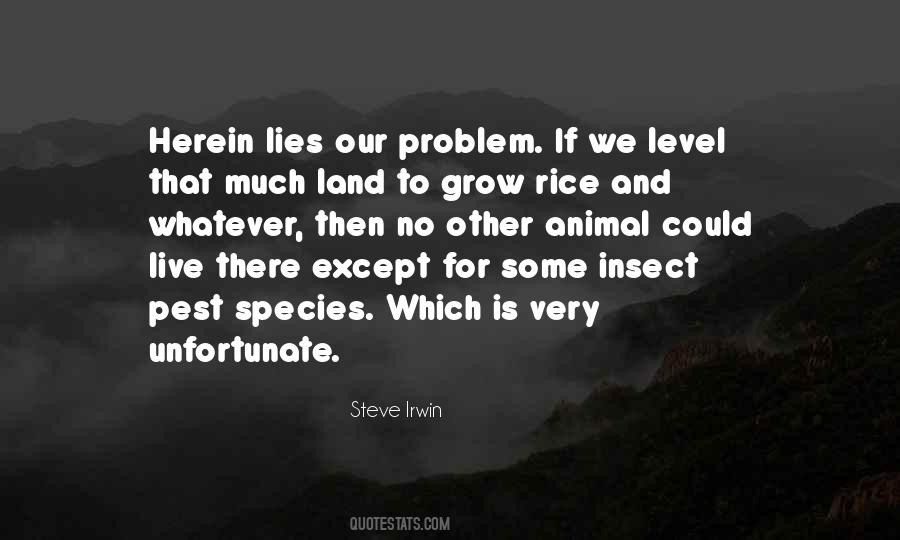 Steve Irwin Quotes #1318206