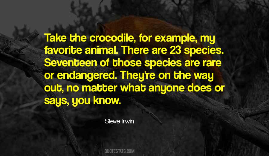 Steve Irwin Quotes #1576401