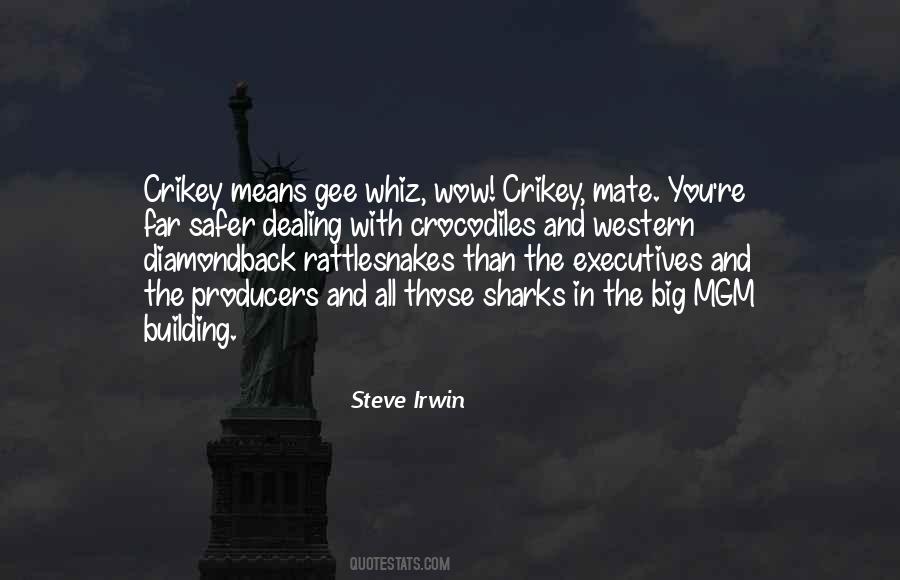 Steve Irwin Quotes #1760618