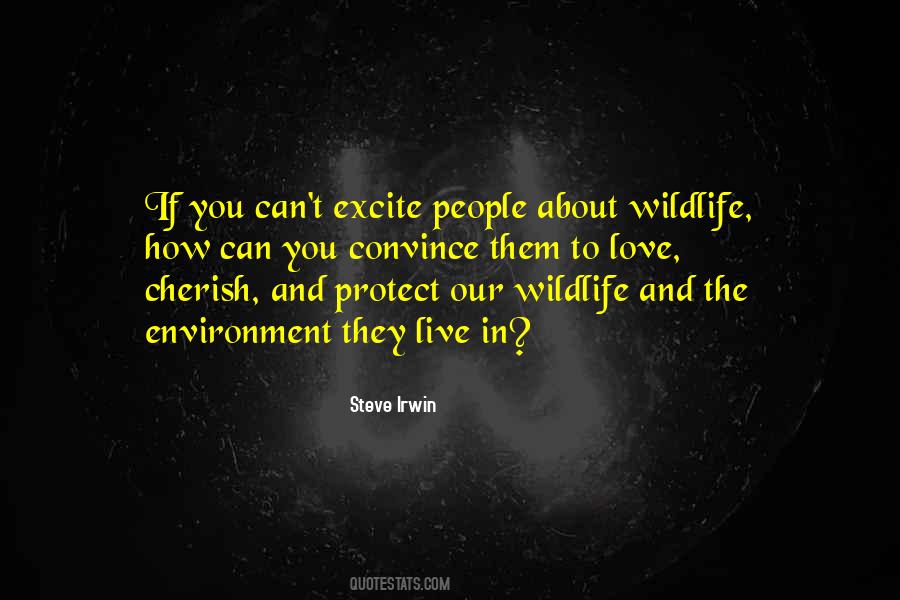 Steve Irwin Quotes #441513