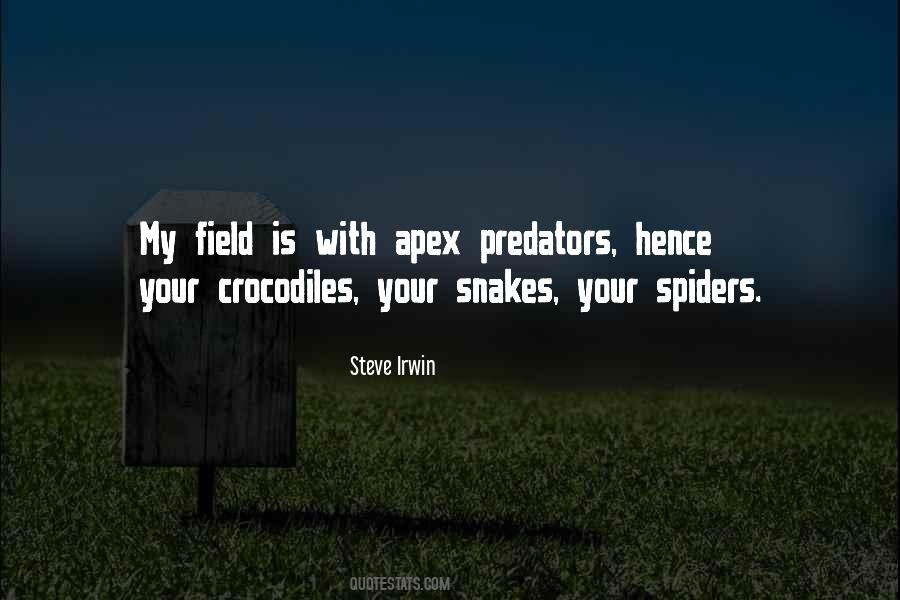 Steve Irwin Quotes #891722