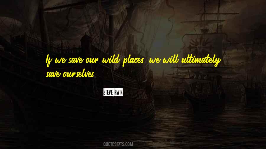 Steve Irwin Quotes #950551