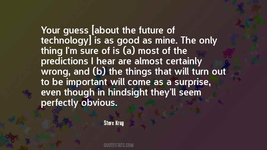 Steve Krug Quotes #1733042