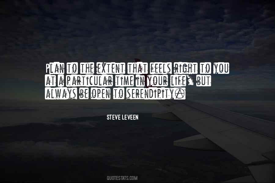 Steve Leveen Quotes #1716561