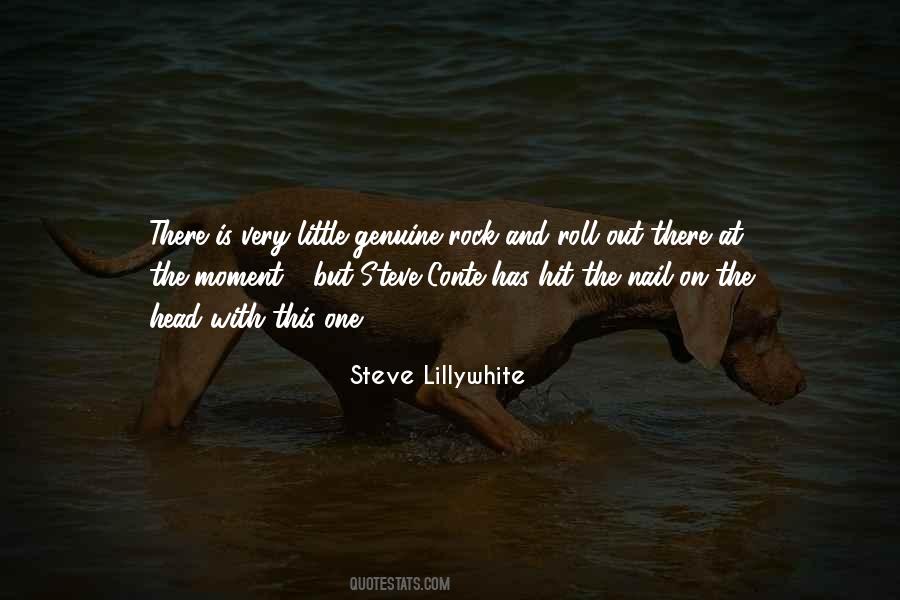 Steve Lillywhite Quotes #592929