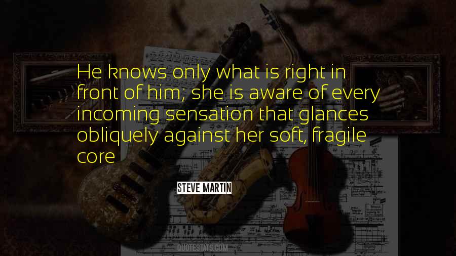 Steve Martin Quotes #669469