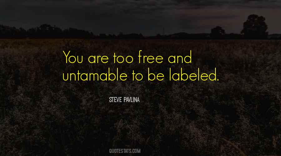 Steve Pavlina Quotes #554290
