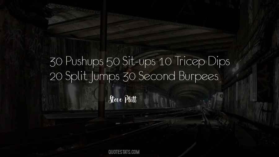 Steve Plitt Quotes #1576353 Steve Plitt Quotes #1576353
