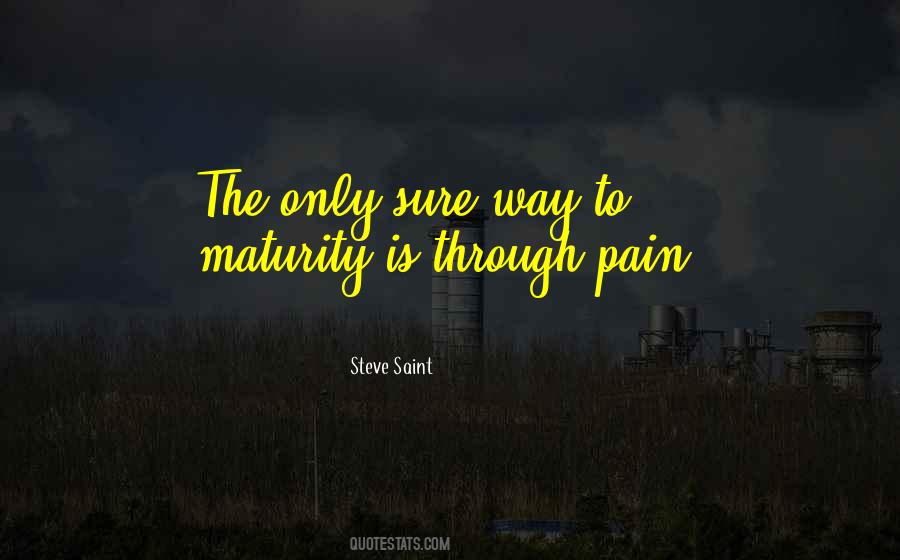 Steve Saint Quotes #986888