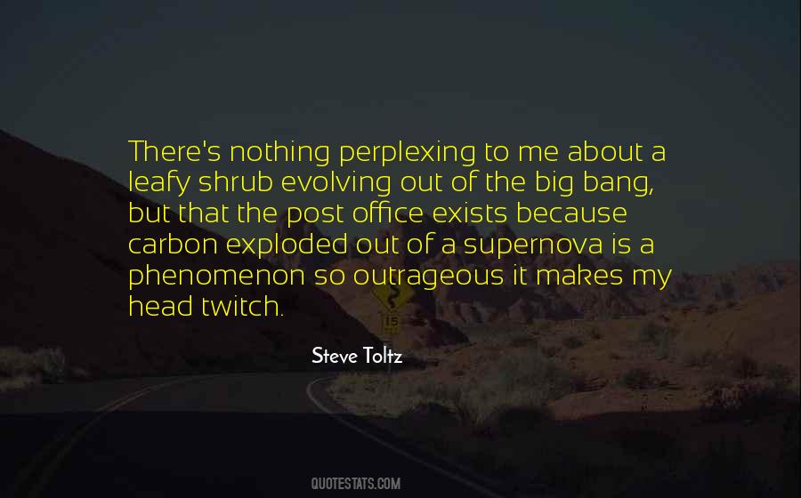 Steve Toltz Quotes #1461283