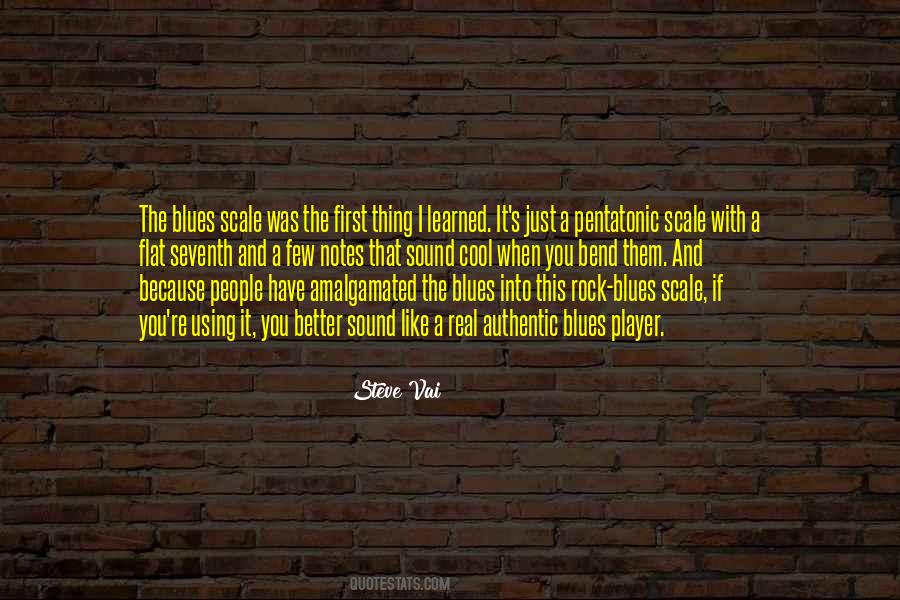 Steve Vai Quotes #1450475