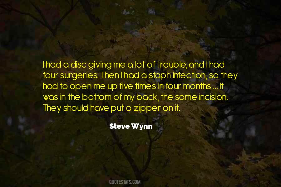 Steve Wynn Quotes #1124420