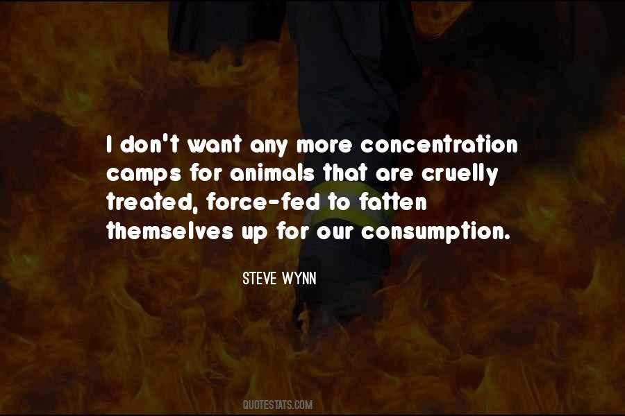 Steve Wynn Quotes #750773